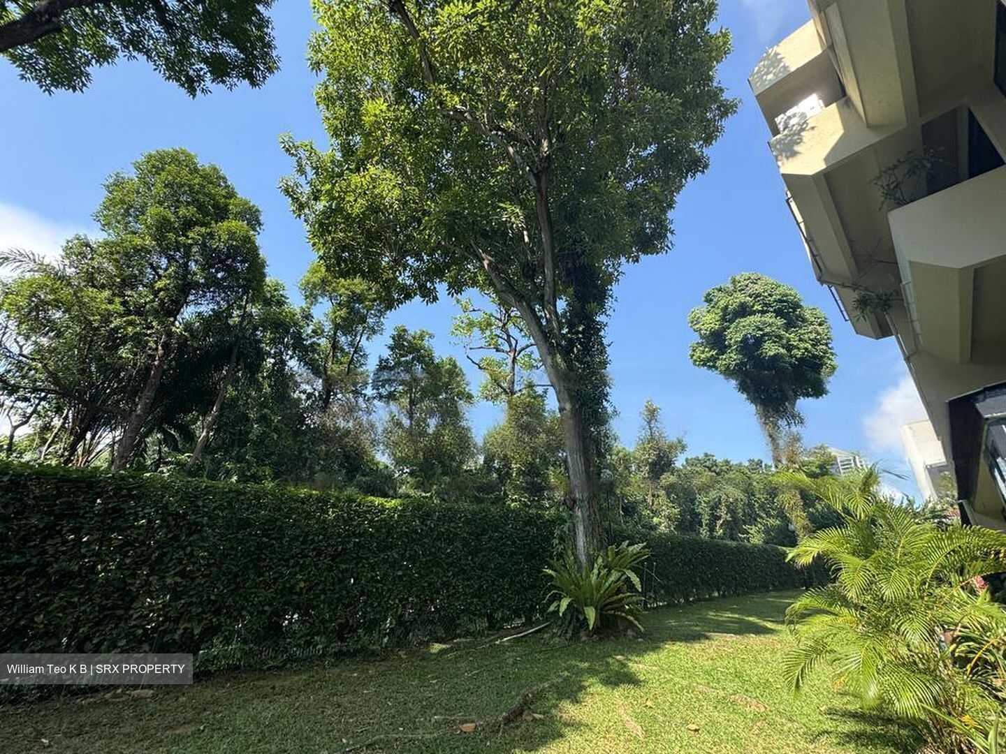 The Draycott (D10), Apartment #464335781